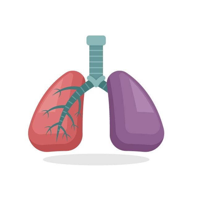 ¿Cómo saber si mis pulmones están en buen estado?